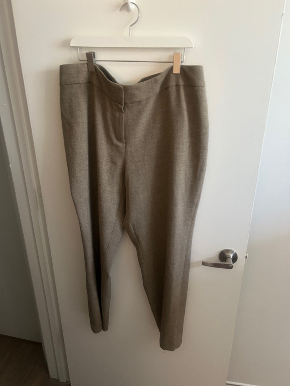 Classic Tailored Dress Pants - Taupe - Size 16W